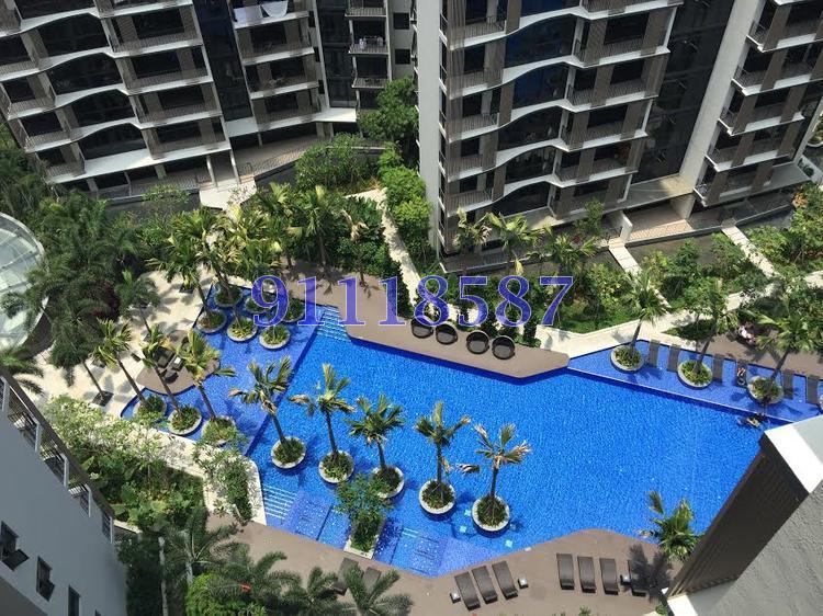 River Isles (D19), Condominium #132017312